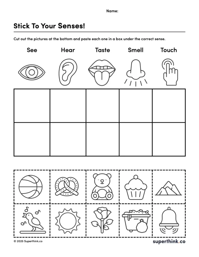 Image of a five senses worksheet for preschool and kindergarten. The worksheet includes five columns labeled with each sense (sight, sound, touch, taste, smell), with spaces for students to paste pictures of items that match each sense. Cut-out images include objects like a bell, cupcake, and a flower.